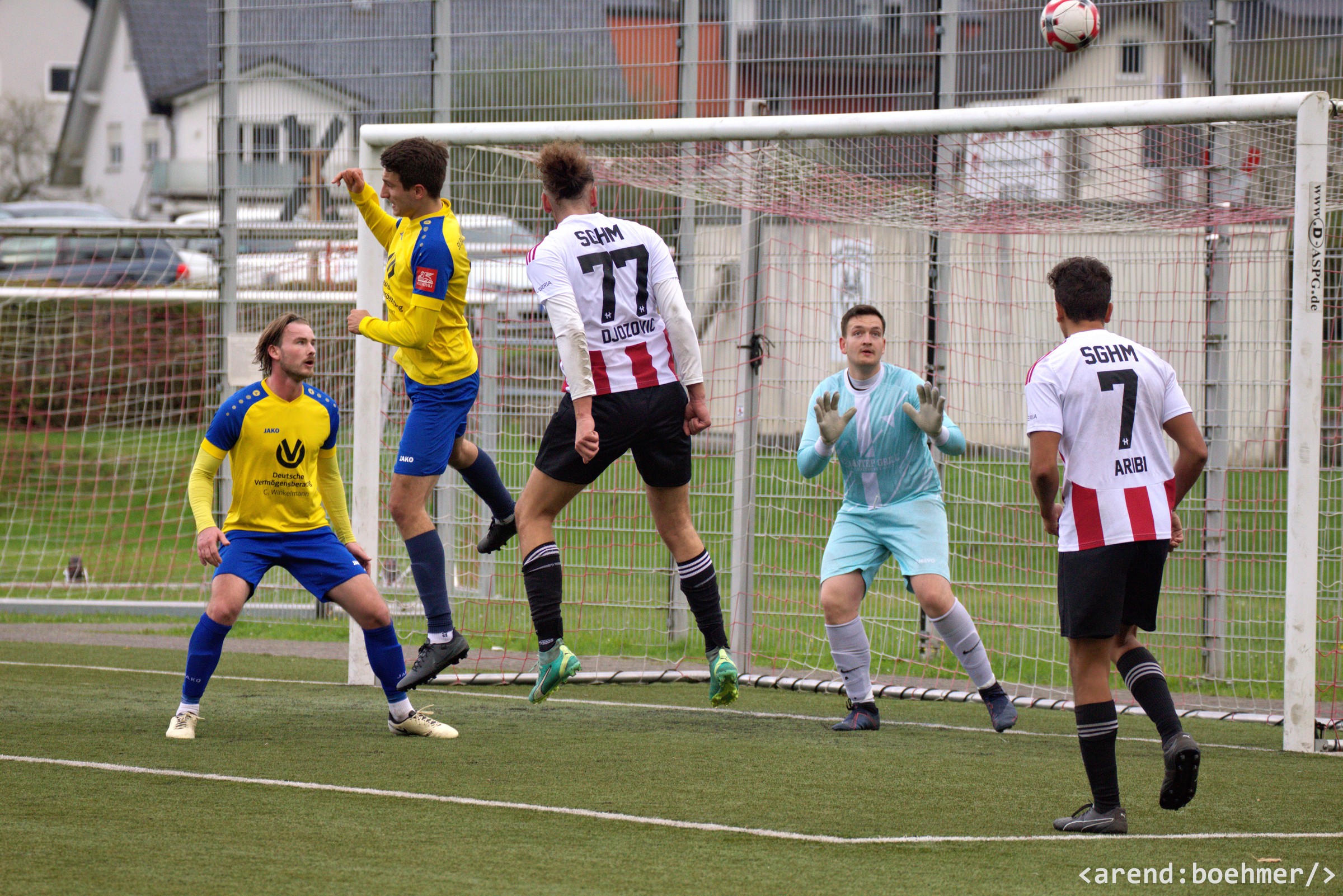 IMG 3879 web