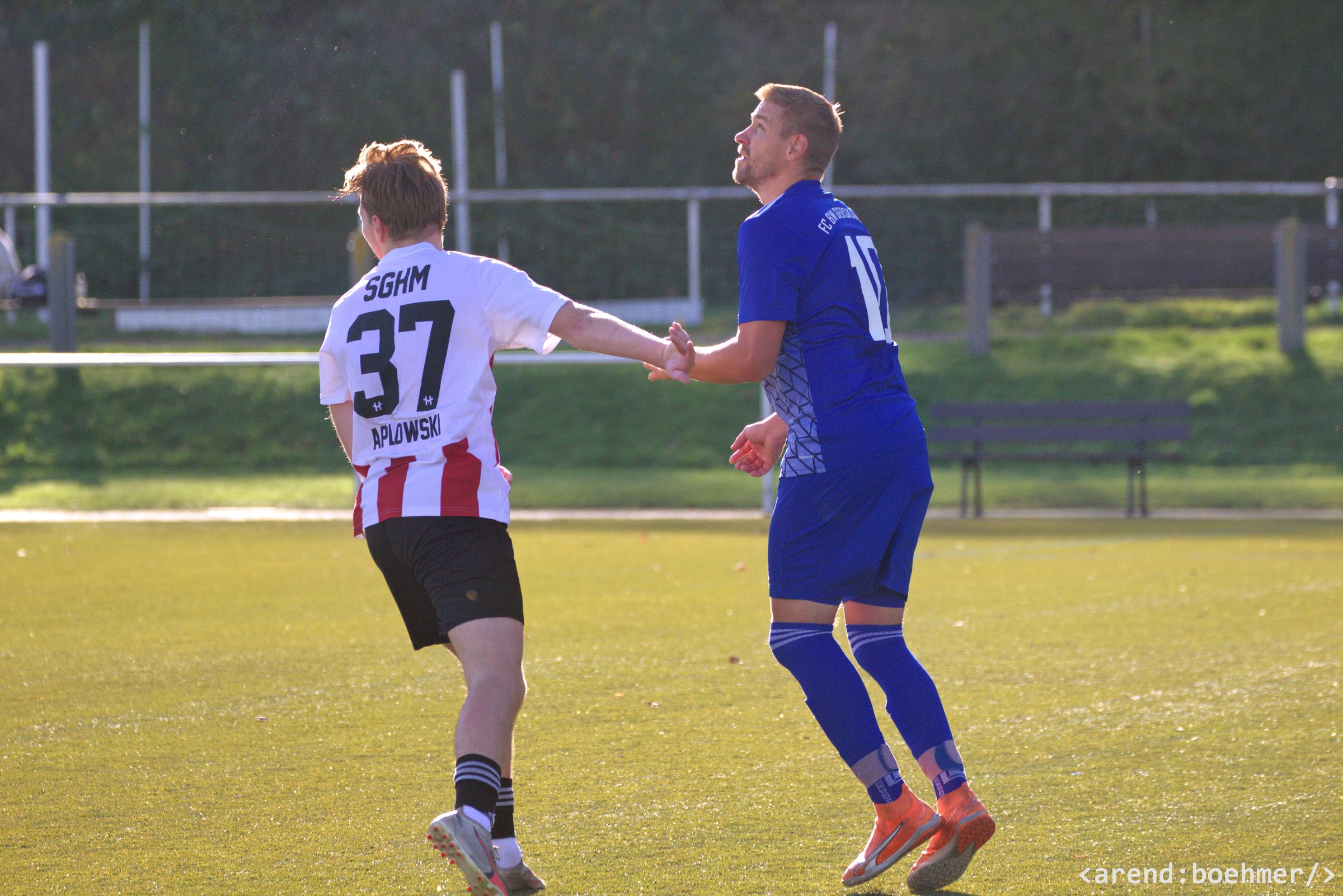 IMG 4061 web